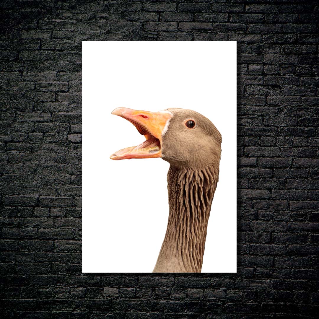 Duck Portrait-Artwork by @VICKY
