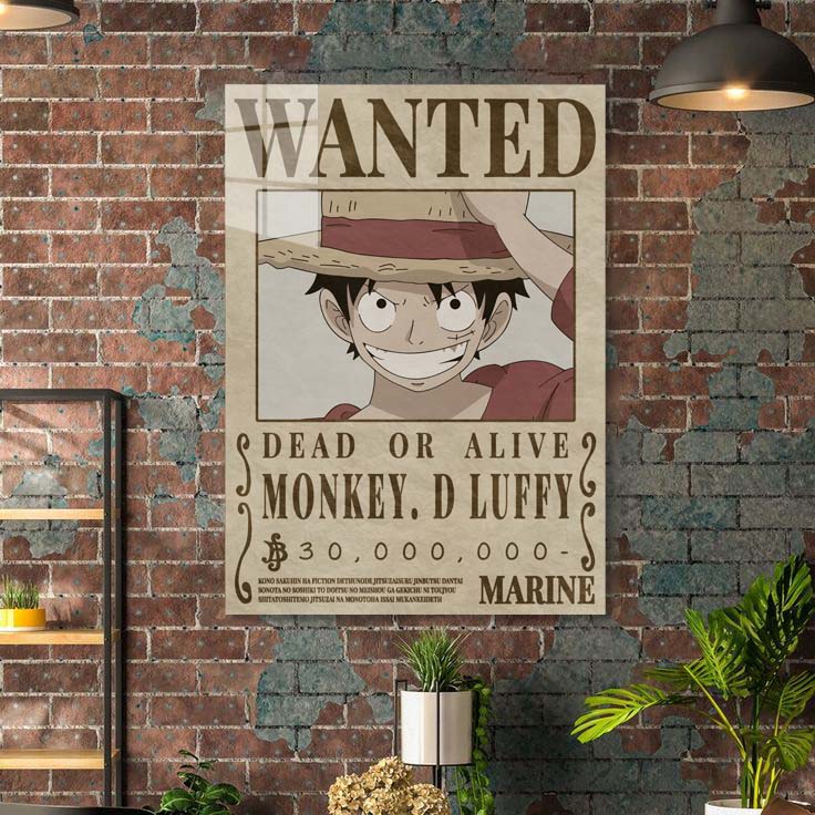 Monkey D Luffy One Piece-designed by @Fluency Room